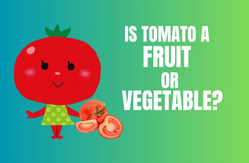 The Truth About Whether Tomato Is A Fruit Or Vegetable! Is Tomato A Fruit Or Vegetable