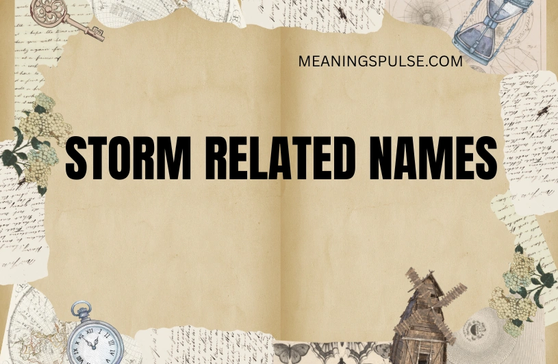 85+ Storm Related Names For Dogs, Cats, Boys, And Girls storm related names